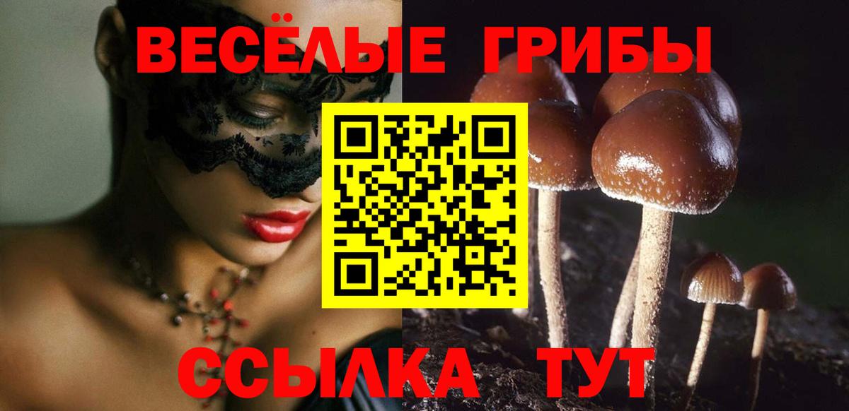 Наро-Фоминск  Псилоцибиновые грибы Magic Shrooms  Вход с VPN  Псилоцибиновые грибы Magic Shrooms 